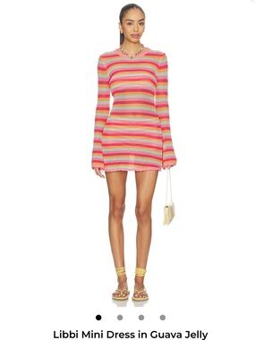 Beach Riot Revolve Guava Jelly Striped Crochet Mini Dress